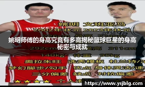 姚明师傅的身高究竟有多高揭秘篮球巨星的身高秘密与成就