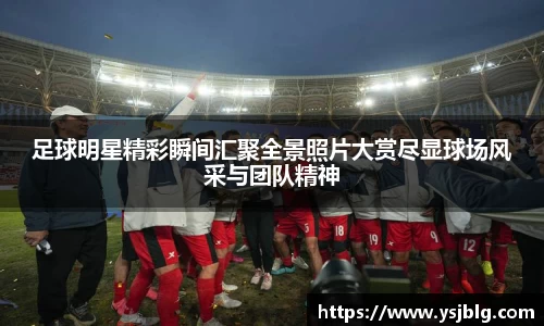 足球明星精彩瞬间汇聚全景照片大赏尽显球场风采与团队精神
